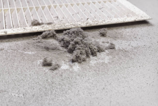 Best Affordable Duct Cleaning Services  in Northdale, FL