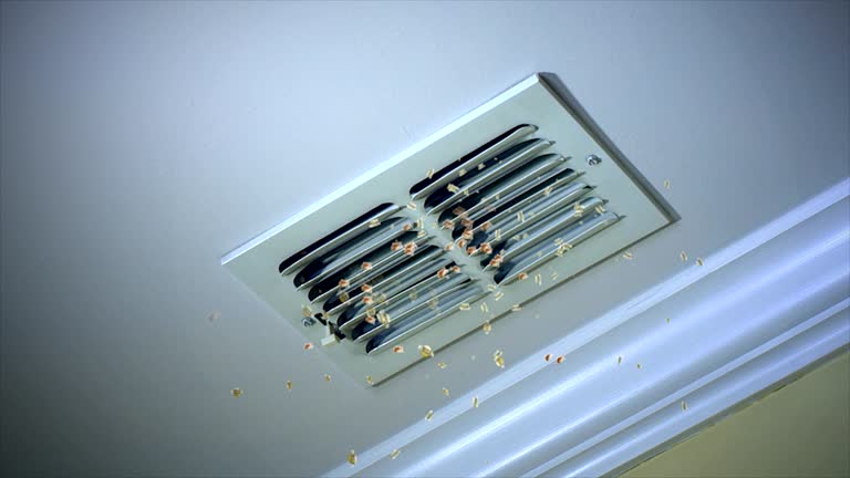 Best HVAC Maintenance and Cleaning  in Northdale, FL
