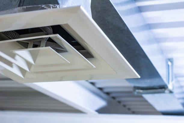 Best Commercial Air Duct Cleaning  in Northdale, FL