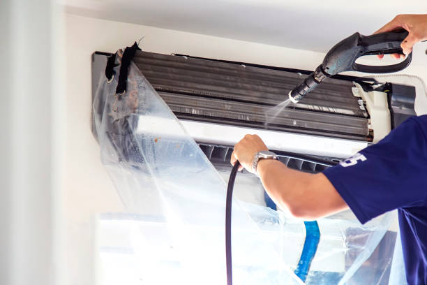 Best Professional Duct Cleaning Services  in Northdale, FL