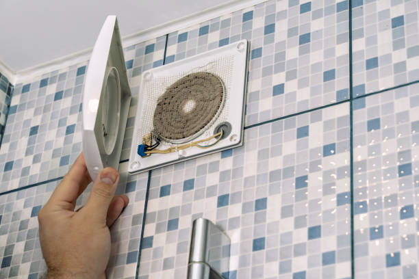 Best Affordable Duct Cleaning Services  in Northdale, FL