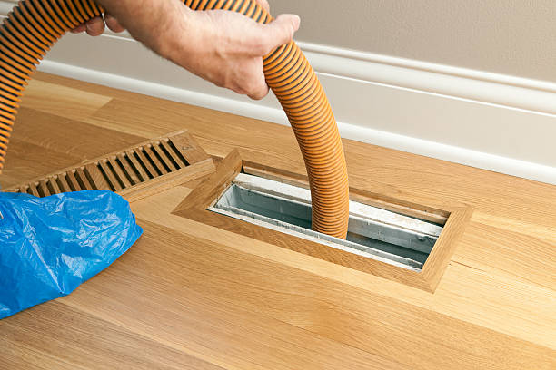 Best Dryer Vent Cleaning Services  in Northdale, FL