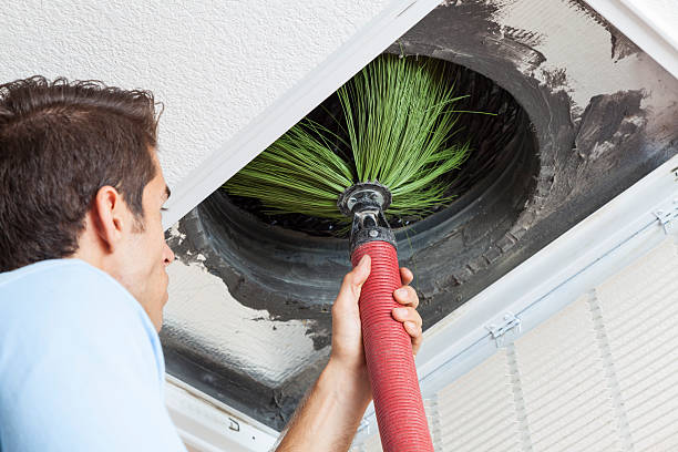 Best Commercial Air Duct Cleaning  in Northdale, FL