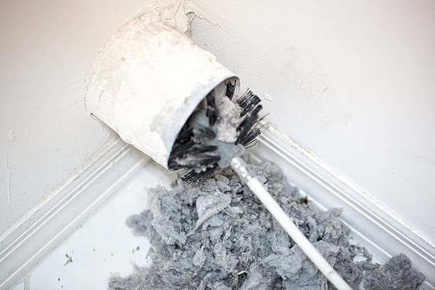 Best Air Vent Cleaning Services  in Northdale, FL